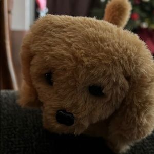 Meet your Posher, Carolina